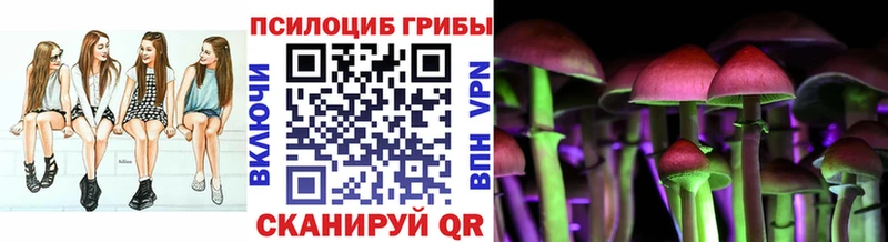 купить  цена  Зерноград  Псилоцибиновые грибы Psilocybine cubensis 